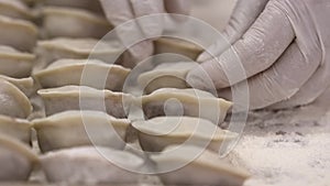 Packing fresh dumpling on metal baking tray for placement in refrigerator