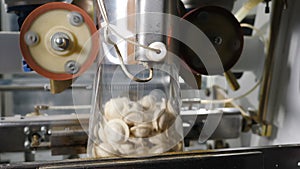 Packing line of finished products. Food packaging machine. Meat industry. Shot of food processing. Pelmeni and ravioli