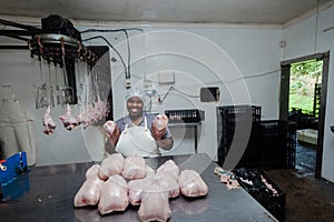 Packing Poultry Abattoir
