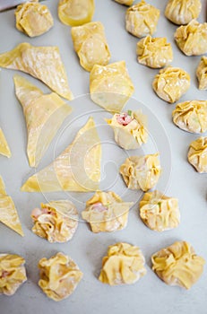 Packing and shaping wontons