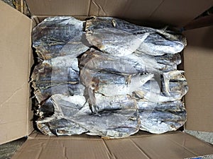 Packing Traditional Marine Fish Product from Indonesia Dried Salted Mackerel Tuna Euthynnus Affinis