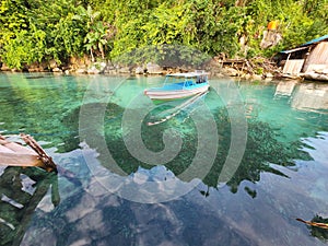 Packs of mackarels around a floating boat