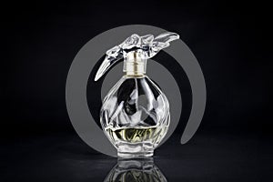 Packshot perfume bottle in studio