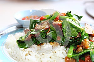 Pad ka na moo krob thaifood