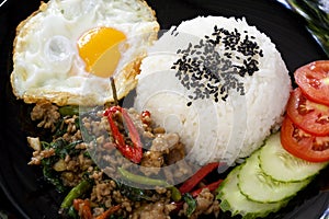 PAD KRA PAO, Thai spicy fried pork with basil and sunny fried egg