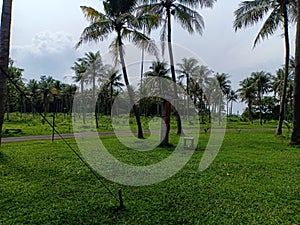 Padang Rumput photo
