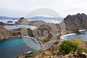 Padar Island in Labuan Bajo, Flores Indonesia photo