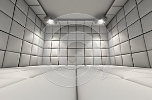 Padded Cell