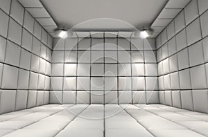 Padded Cell