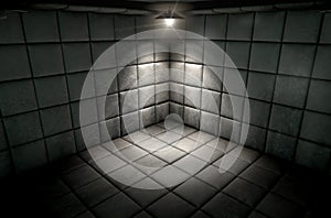 Padded Cell Dirty Spotlight