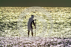 Paddle Board in Sunlit water