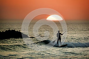 Paddle board surfer at sunset
