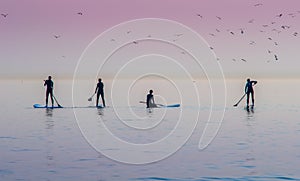 Paddle Boarders photo