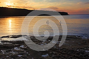 Paddle boarding on Botany Bay at sunrise photo