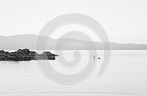 Paddle boards on a calm foggy sea