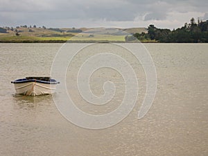 Paddle boat placid lake