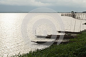 Paddle boats ashore