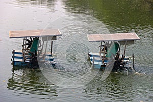 Paddle wheel aerator active in aquaculture pond for increase dissolve oxygen in