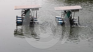 Paddle wheel aerator active in aquaculture pond for increase dissolve oxygen in water.