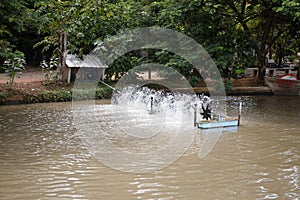 Paddle wheel aerator aquaculture.