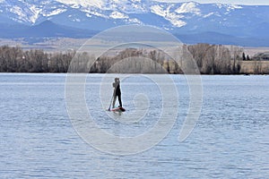 Paddleboarder on a lake