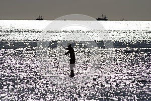 Paddleboarder silhouette