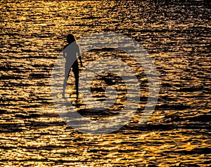 Paddleboarder in Silhouette