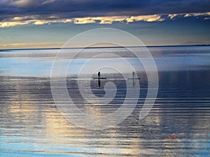 Paddleboarders at dusk photo