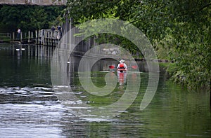 Paddler on Boardman River in Traverse City at The Grand Traverse Bay, Michigan