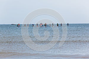 Paddlers Boards Ocean