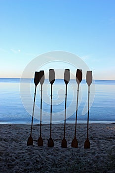 Paddles in the sand