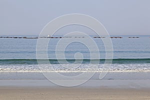 Paddles in the Vigo estuary