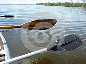 Paddling near caimans in Esteros del Ibera