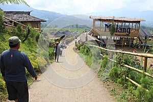 Paddy field cafe tour in Pujon, Malang district, East Java, Indonesia