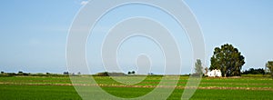 Paddy field in the Ebro Delta, Spain, web banner