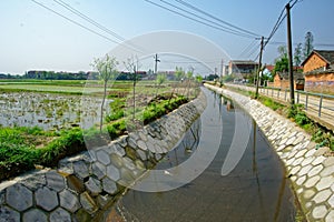 Paddy field and irrigation canal