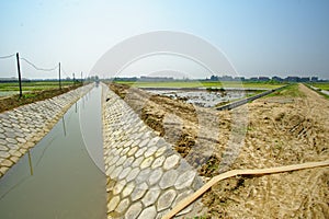 Paddy field and irrigation canal