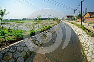 Paddy field and irrigation canal