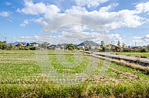 Paddy field in japan after havest time