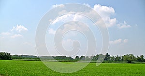 Paddy fields in Certosa di Pavia, province of Pavia photo