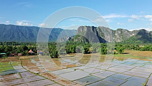The paddy fields in front of the mountains and the green forests