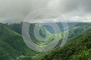 Paddy fields in khasi and jaintia Hills of Meghalaya