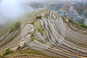 Paddy fields, rice terrace in Yunnan province