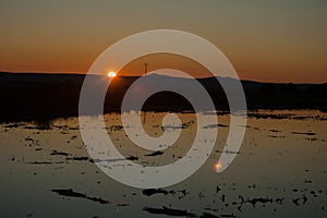 Paddy fields which the sun of the dawn is reflected in Spain