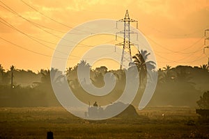 Paddy Harvesting time