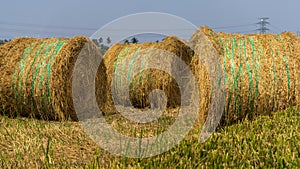 Paddy haystack in Sabak Bernam, Malaysia