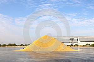 Paddy piles are dried in the sun to expel moisture. Rice mill system. Rice Storage