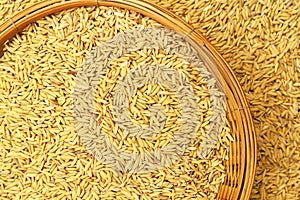 Paddy rice in bamboo basket