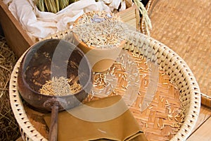 Paddy rice on basket