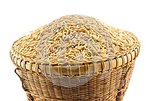 Paddy rice in basket